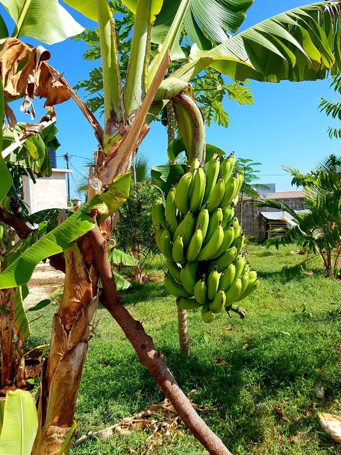 Mimi Na Wewe Villa Nungwi Ngoại thất bức ảnh