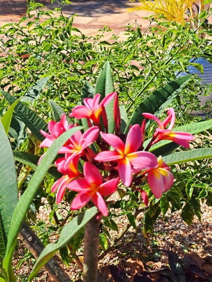 Mimi Na Wewe Villa Nungwi Ngoại thất bức ảnh
